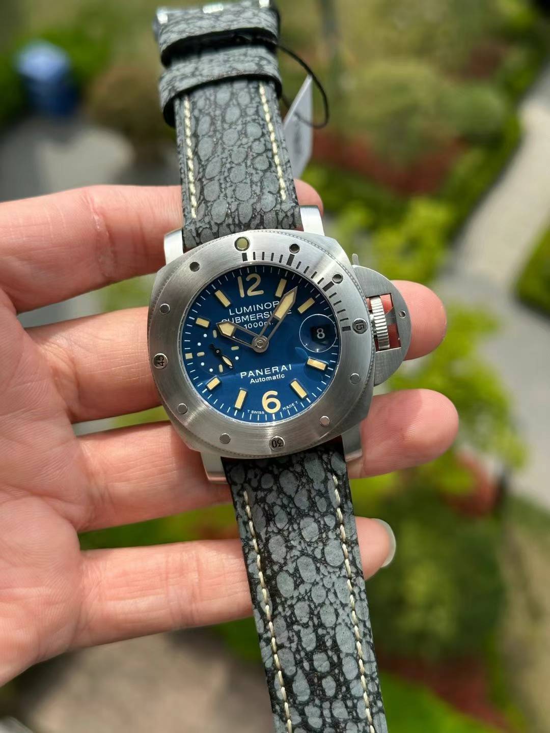 VS/ 파네라이 PAM087