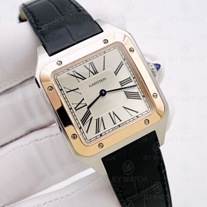 F1/ 까르띠에 산토스 뒤몽 엑스 라지 콤비