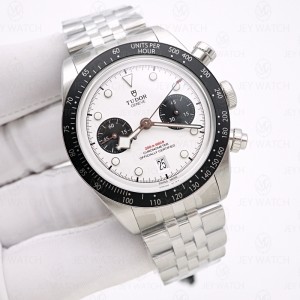 ZF/튜더 블랙베이 크로노 41MM