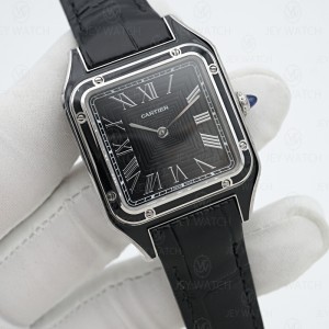 AF/까르띠에 산토스 뒤몽